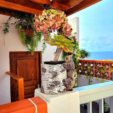 Anaga Manolo Natural House * Almaciga