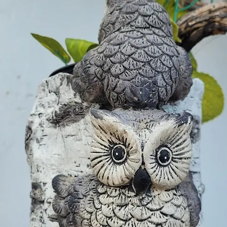 Anaga Manolo Natural House