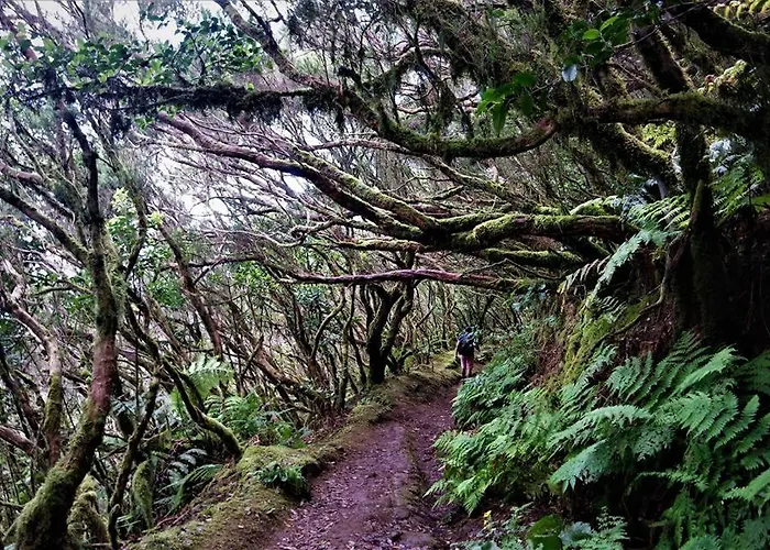 Anaga Manolo Natural House Semesterbostad Almaciga