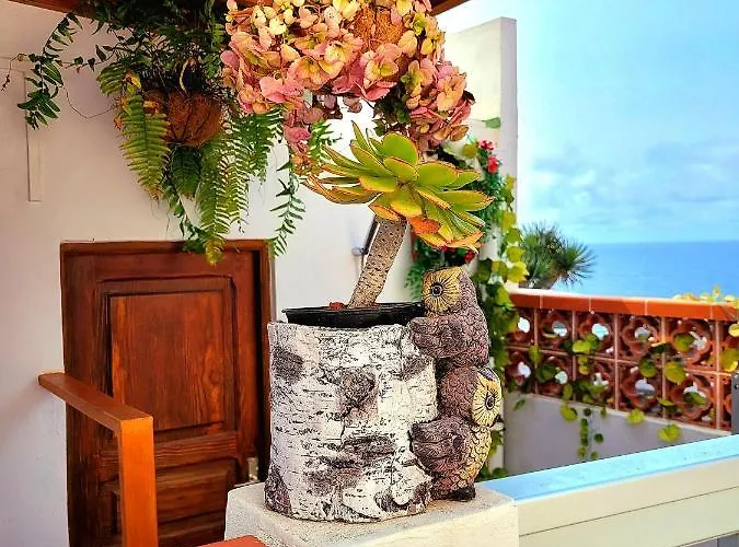 Anaga Manolo Natural House * Almaciga