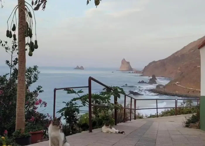 Anaga Manolo Natural House Almaciga