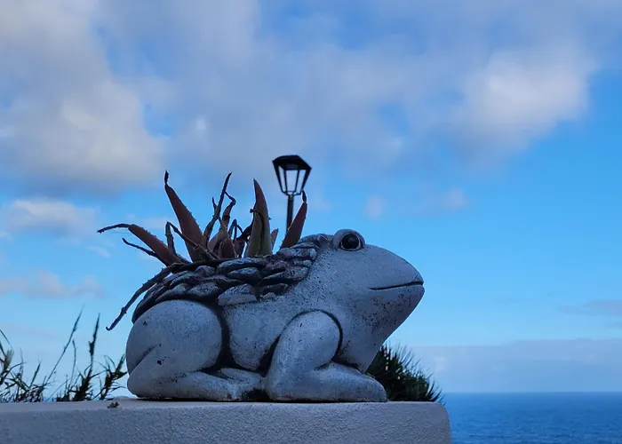 Anaga Manolo Natural House Almaciga