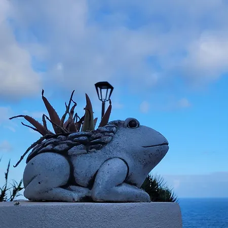 Anaga Manolo Natural House Almaciga