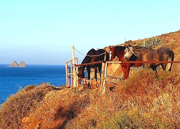 Anaga Manolo Natural House * Almáciga