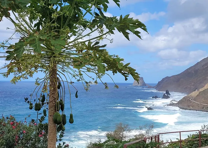 Anaga Manolo Natural House * Almáciga