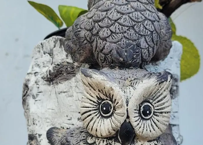 Anaga Manolo Natural House